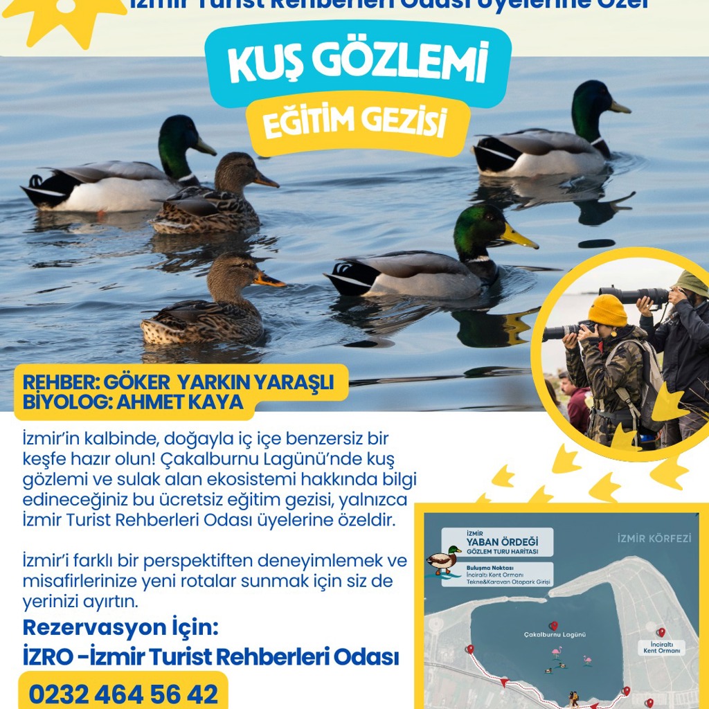 Yaban Ördeği Gözlem Turu